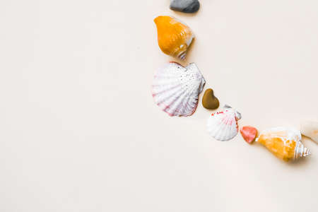 seashell frame with place for text on a light backgroundの写真素材