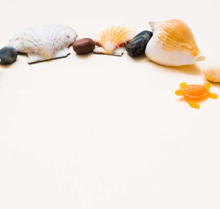 seashell frame, with place for text on a light background