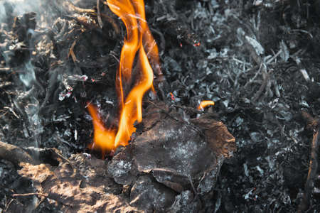 fire and flame and smoke of a fire, bonfire on earthの写真素材