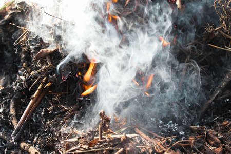fire, flame and smoke of a fire, bonfire on earth