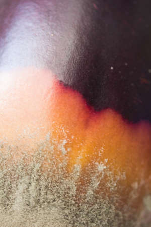 mold on vegetables, spoiled food close-up on a white background
