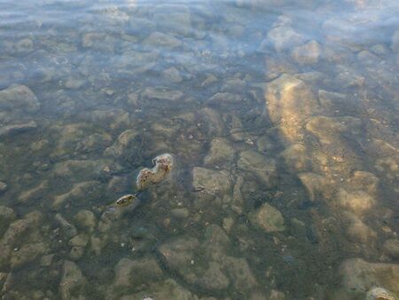 Clear riverの写真素材