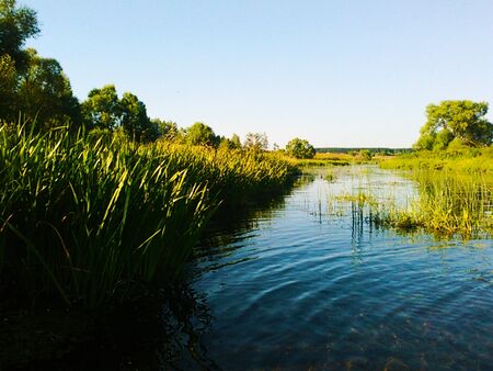 Summer landscape with riverの写真素材
