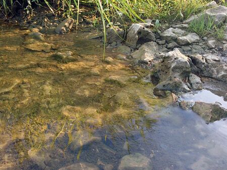 river bankの写真素材