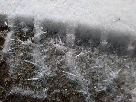 frostの写真素材