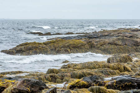 Seacoast Shore in Portsmouth, New Hampshire, USA.の写真素材