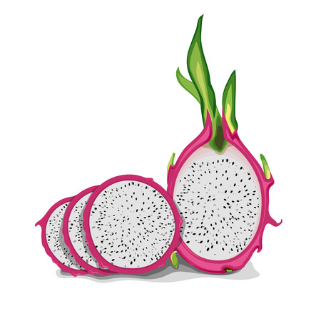 Dragon fruit illustrationのイラスト素材