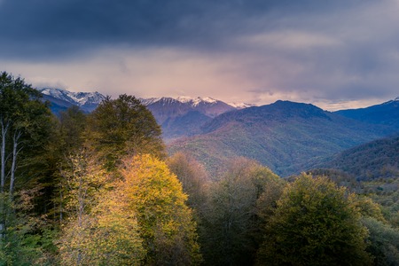 Yellow and gold autumn colors with snowy mountains in the background and a stormy,cloudy sky. SHot from above.の写真素材