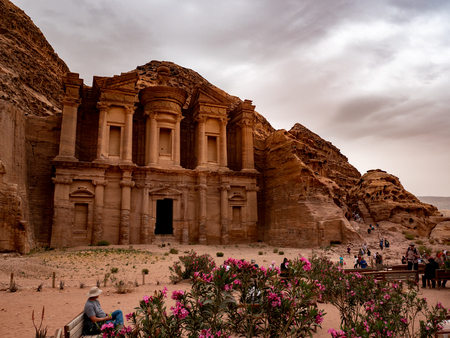 Pink wild desert flowers growing in front of the monastery at Petra, Jordan as a storm comes inの写真素材