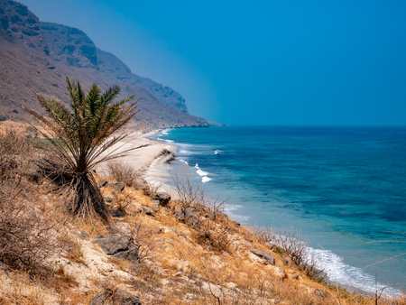 View of a doselate beach and mountains in the distance near Salalah, Omanの写真素材