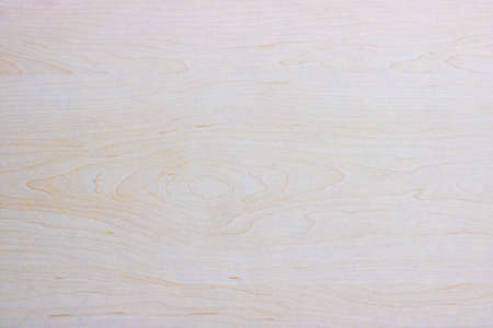 Wood textures. Background for design and decorationの写真素材