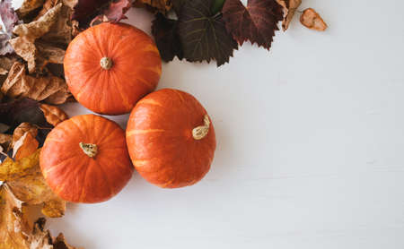 Top view of pumpkins and leaves on a white wooden background.