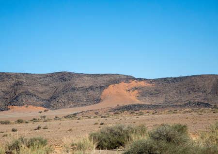Oryx antelope in the namib desertの写真素材