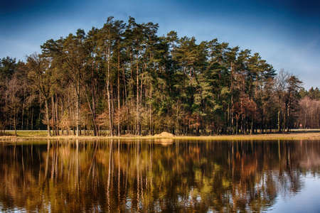 Forrest on a lake, reflecting in the water