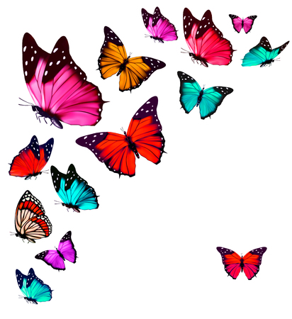 Colorful Butterflies Flying On White Backgroundの写真素材