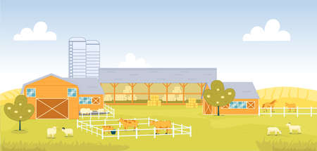 Country Cattle Farm with different Domestic Animal. Separate Corral for Different Animal, Cow with Bull, Pig, Horse and Mule. Sheep with Ram Graze in Meadow. Haystack for Feeding Livestock in Barn.のイラスト素材