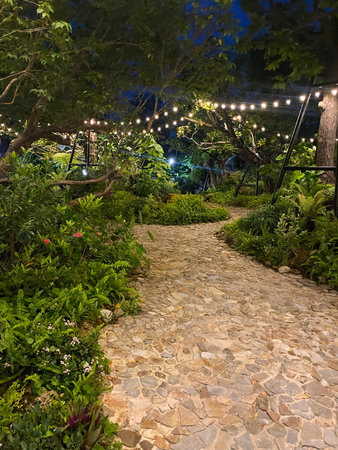 Walkway in the garden at night. Beautiful view of the street in the evening.
