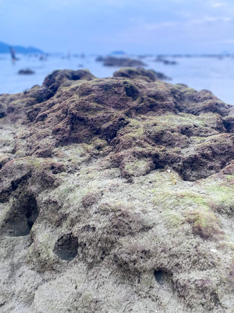 Close-up of textured coastal rocks covered with moss on a tropical beach with blurred sea and...