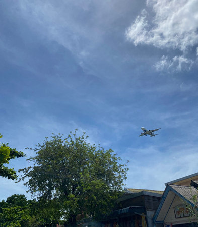 A commercial passenger airplane flying low across a bright blue sky above tropical trees and...