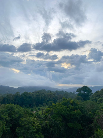 Panoramic tropical landscape with dense jungle forest covering mountains under dramatic cloudy sky...