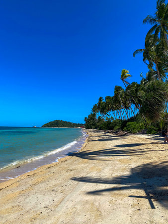 Sunny tropical beach with tall palm trees, sandy shoreline and calm turquoise sea under clear blue...