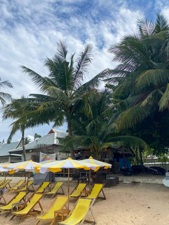 Palm trees and yellow sunbeds with umbrellas on sandy tropical beach near the ocean.の写真素材