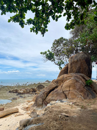 Large coastal rocks under tropical trees with calm sea and distant mountains.の写真素材