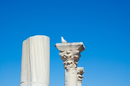 Part of the Basilica of 1935 on territories of ancient ruins of old Chersonese, Sevastopol, the Crimea, Ukraineの写真素材