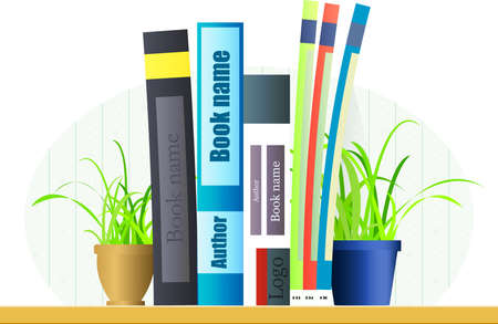 Shelf with two pots, three books and three magazinesのイラスト素材