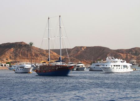 Sea Yachts under sunlight at its mooringsの写真素材