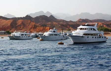 Sea Yachts under sunlight at its moorings