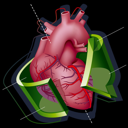 Human Heart with Axes and Green Transparent Arrow around it on Black Background. のイラスト素材