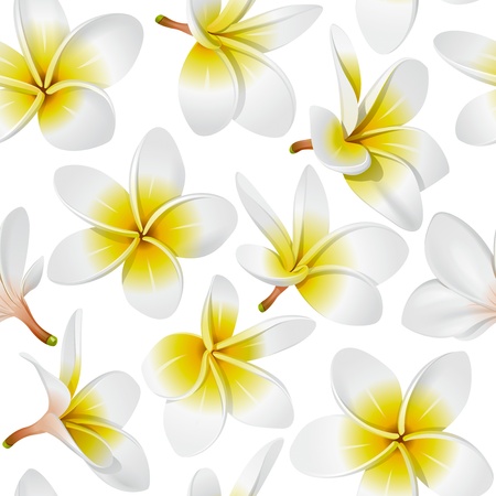 Frangipani (Plumeria) tropical flowers. Seamless pattern background. Vector illustration のイラスト素材