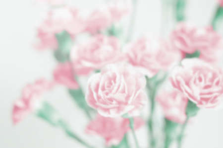 Blur background : Beautiful Pink Flower with place for textの写真素材