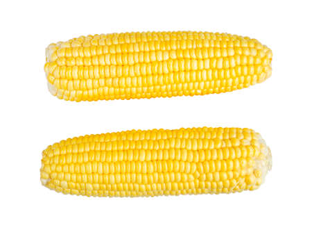 Sweetcorns isolate on white with clipping pathの写真素材