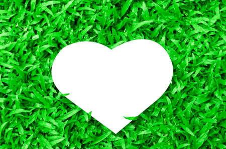 Blank white heart paper on green glass backgroundの写真素材