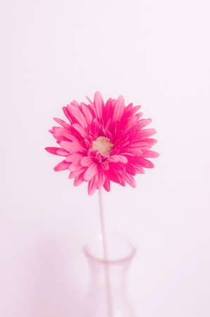 Pastel artificial flower in bottle with vintage color and soft focusの写真素材