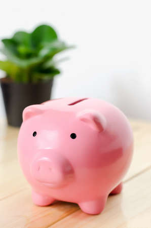 Close up of small pink piggy bank on wooden table - Savings Conceptの写真素材