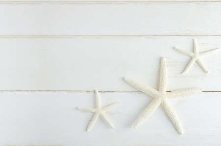 Starfishs on white vintage wooden backgroundの写真素材