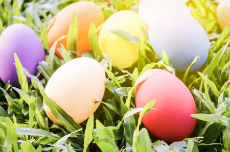 Colorful Easter eggs on green meadow grass with vintage tone and sunny lightの写真素材