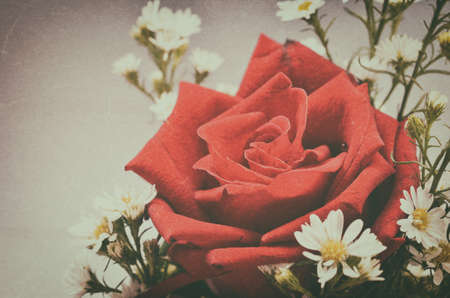 Red rose flowers with grunge and vintage toneの写真素材
