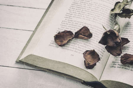 Dry roses flower at opened book on white wooden background with grunge and vintage toneの写真素材