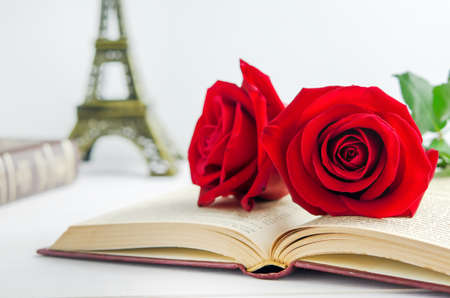 Close up of red rose flower at opened old book on white wooden background with vintage toneの写真素材