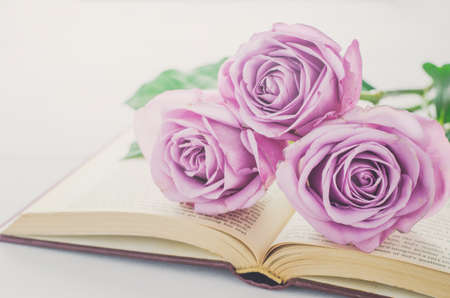 Close up of violet purple rose flowers and opened book on white table background with vintage toneの写真素材