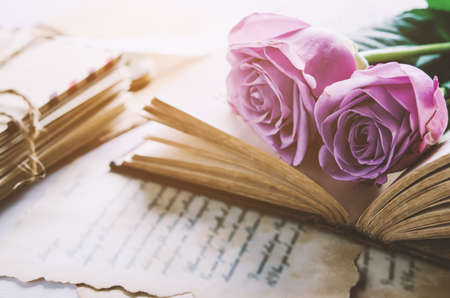 Close up of violet purple rose flower with love letters and feather quill, Rose and old paper with vintage and vignette toneの写真素材