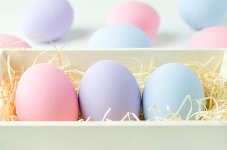 Close up of pastel easter eggs at wooden wool and wooden basket on white background, Easter backgroundの写真素材
