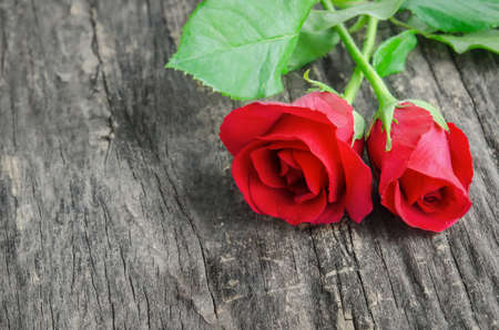 Close up of red rose flowers on wooden background, Valentine's roseの写真素材