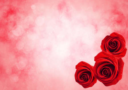 Close up of red rose flower with water drops on beautiful bokeh light background, Valentine's roses backgroundの写真素材