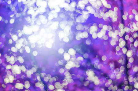 Natural beautiful purple Bokeh - Blur Tree and Park background with sun lightの写真素材