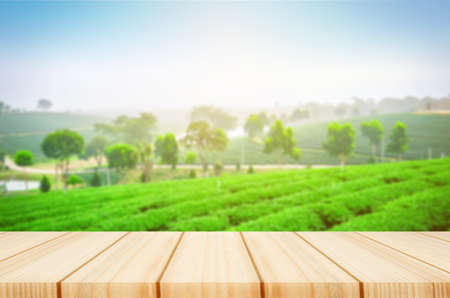 wooden table with blur green grass backgroundの写真素材